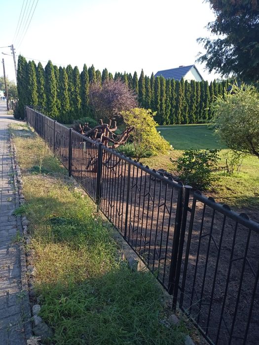 Płot, brama i furtka