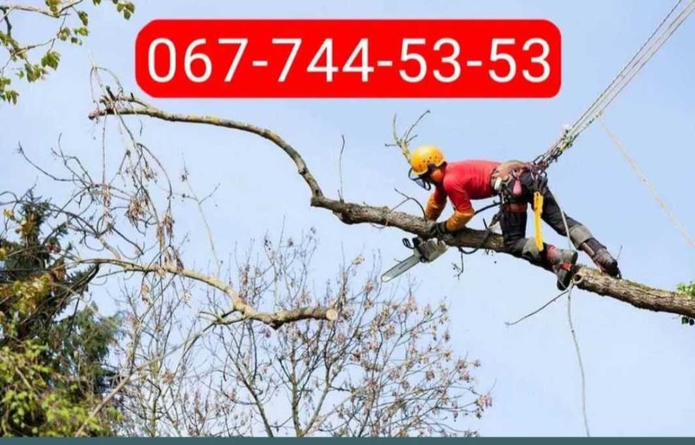 Зрізання аварійних обрізка срезка спил дерев