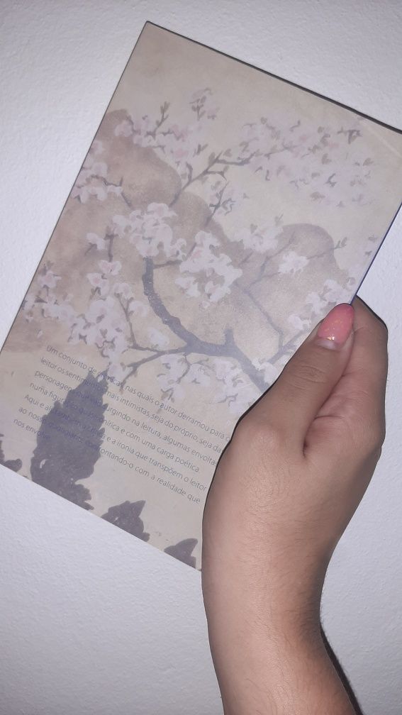 Por que choram os olhos de Uchida Matsumura? - Constantino Lopes Palma