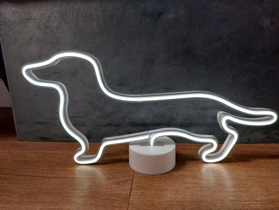 Lampka led pies jamnik