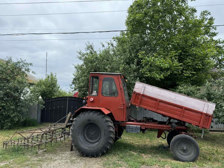 Продам трактор Т-16 ДВШ. Борони.
В робочому та хорошому стані.
Всі пит