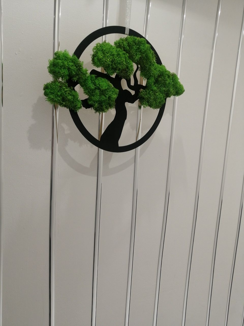 Obraz  Bonsai z  mchem 30cm