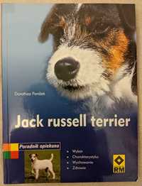 Jack Russel Terrier