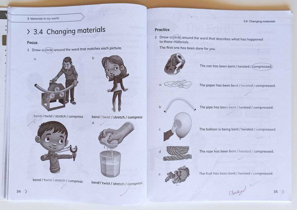 Cambridge Primary Science Workbook 1