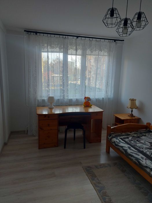 Pokój do wynajęcia