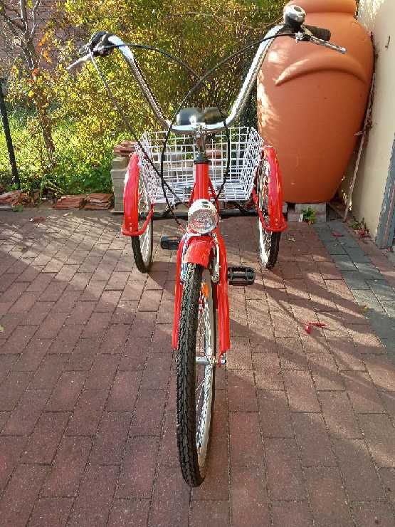 Rower na trzech kołach