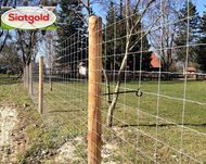 Siatka Leśna Ceny PRODUCENTA tylko 160zl za 50 mb z WYSYŁKĄ Ocynkowana