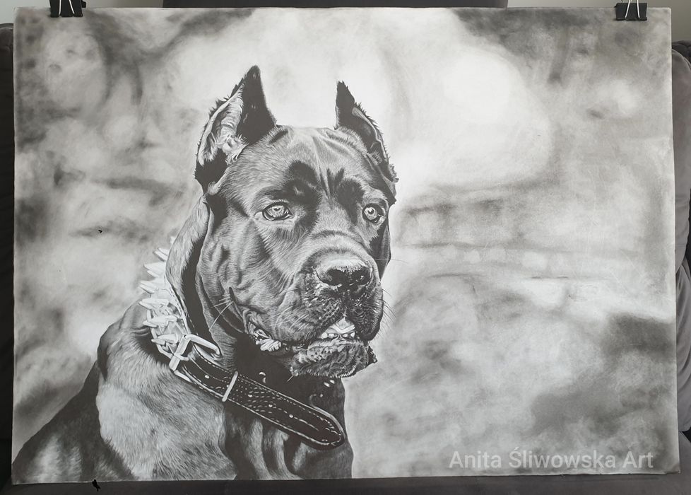 Ręcznie rysowany portret psa Cane Corso – wyjątkowy obraz