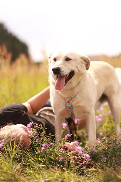 Daj sie oczarować temu uśmiechniętemu pyszczkowi