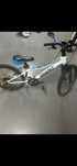 Rower Giant 20X 1.95