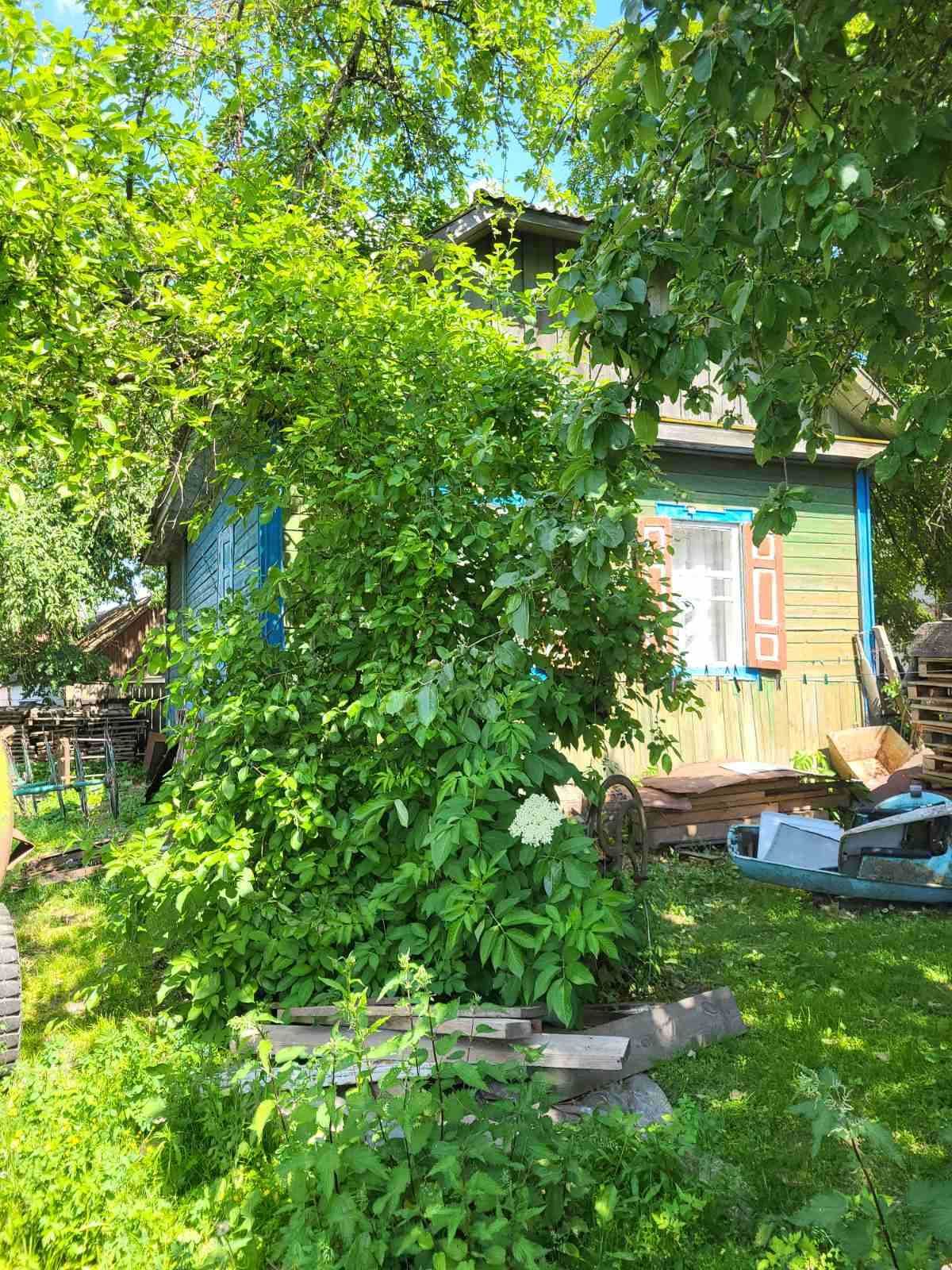 !!! Будинок у мальовничому місті в с.Боромики