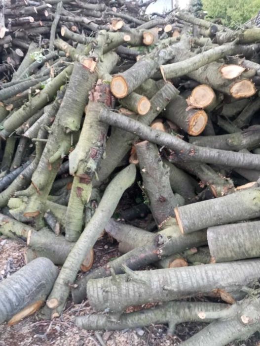 Sprzedam drewno opałowe suche sezonowane