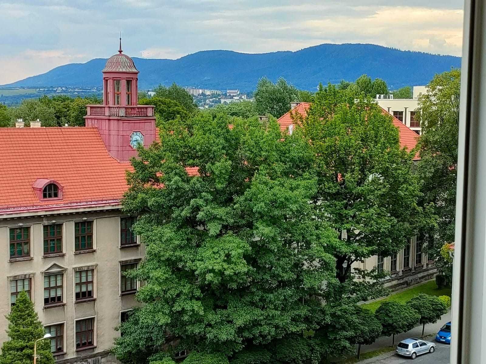 Kawalerka do wynajęcia w centrum miasta