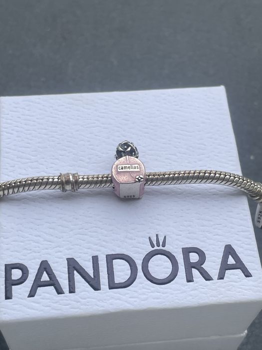 Pandora charms.  .