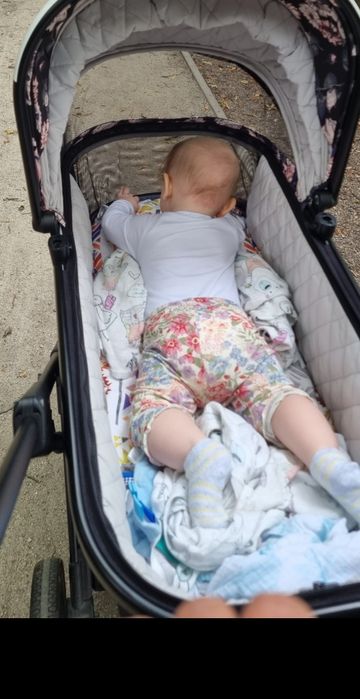 Wózek 2w1 Cavoe Duże KOŁA Axo Style La rose / Meteorite