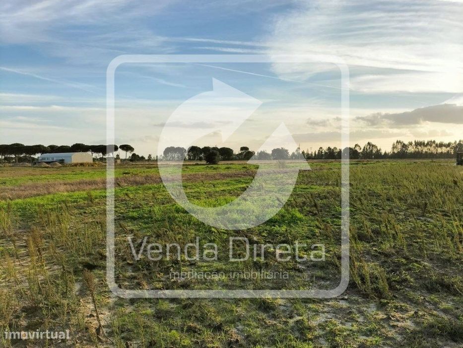 Terreno rústico com 11 ha junto à Nacional 10 - com armazém, furo e...