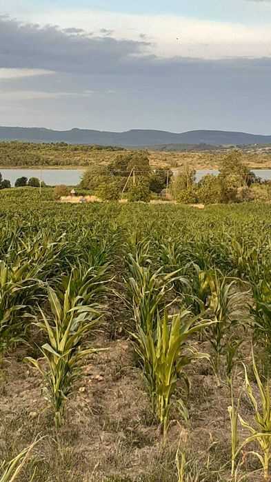 Земельна ділянка під Постройку в с.Пістрялово