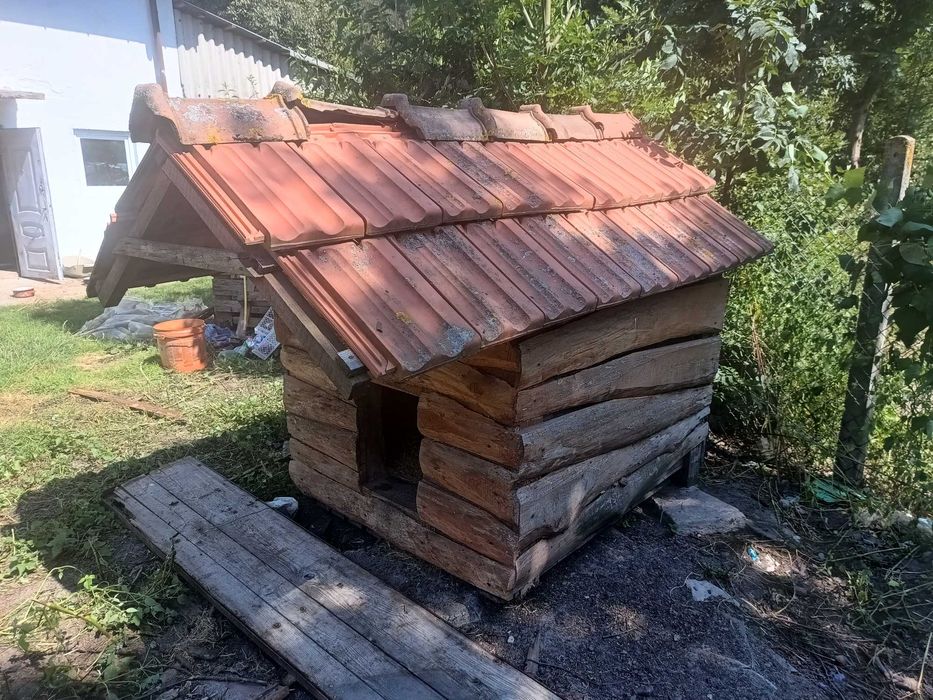 Ocieplana buda dla psa