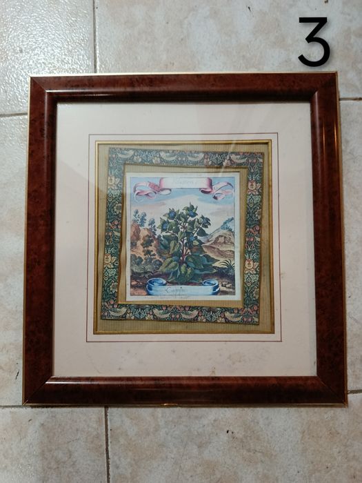 Pequenos quadros com molduras