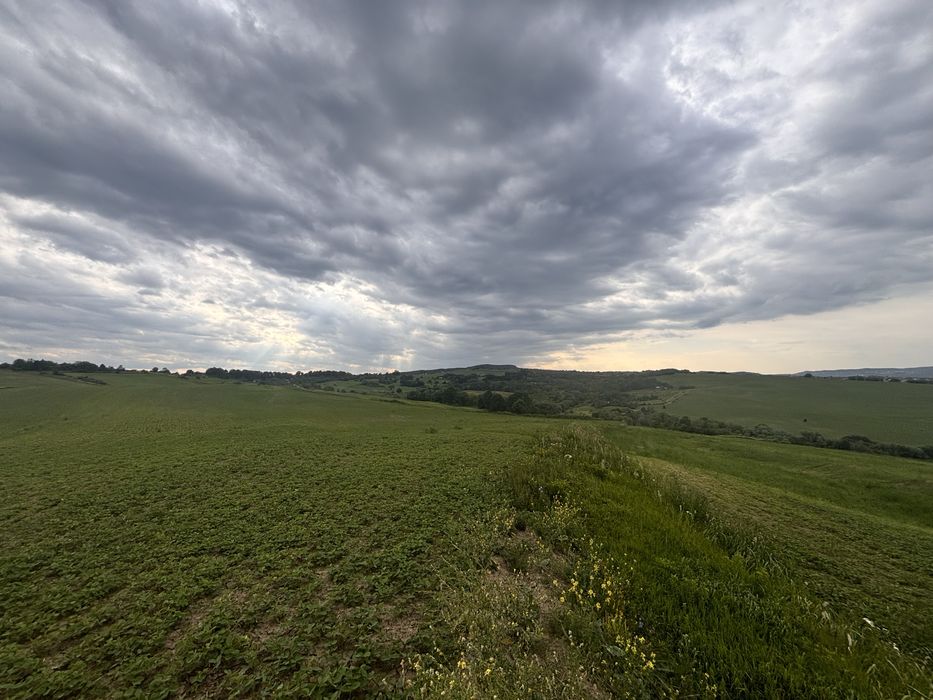 Продаж 32 Га землі с. Снячів можливо частинами.