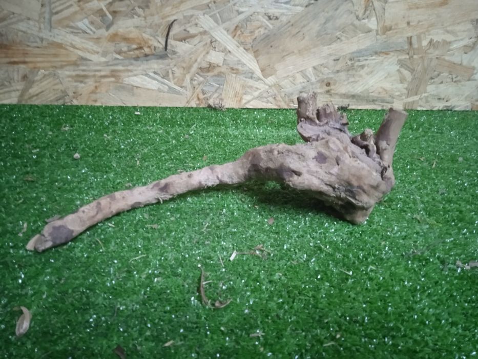 Korzeń do akwarium Red Moore Wood nr 749 o wymiarach 30/10/10