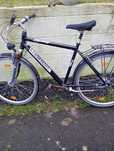 Rower mesk markii PRINCE