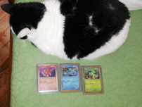 Pokémon 151 cartas Promocionais