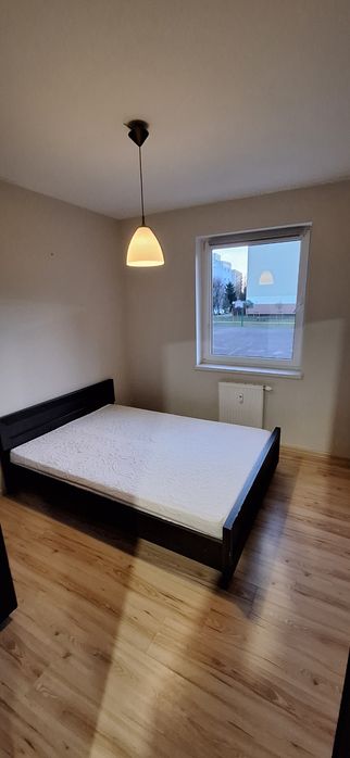 Kawalerka do wynajęcia