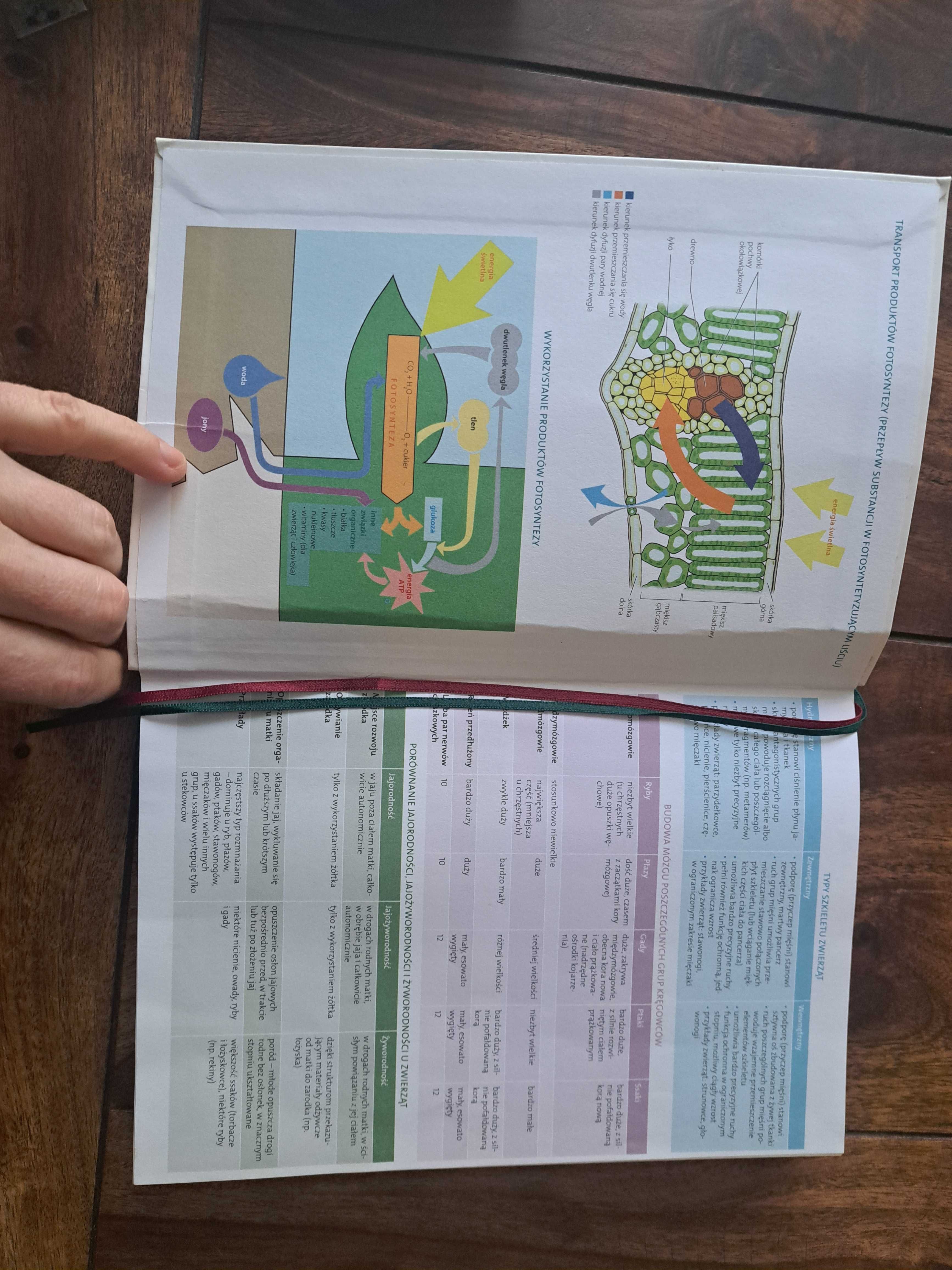 Matura Vademecum Biologia zakres rozsrzerzony  Operon