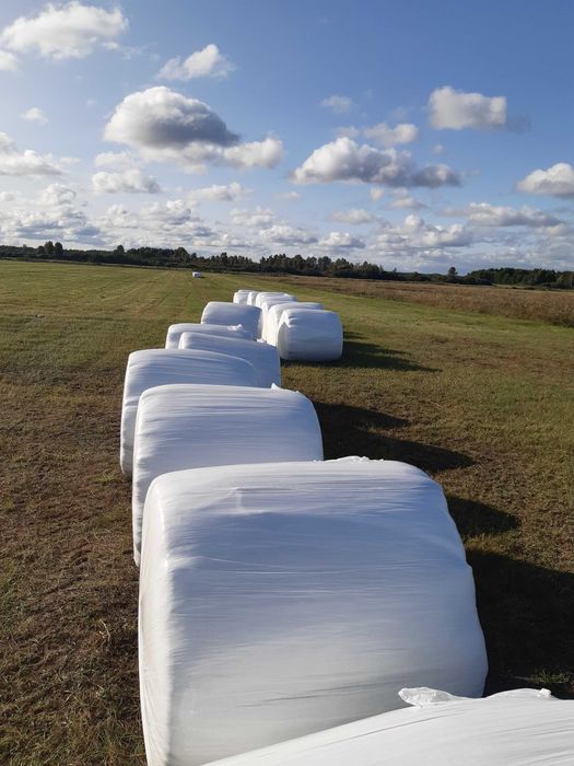 Sianokiszonka średnica 125 drugi pokos zbita dobry towar