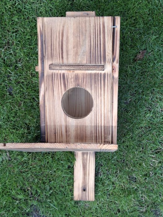 Nowa budka dla wiewiórki