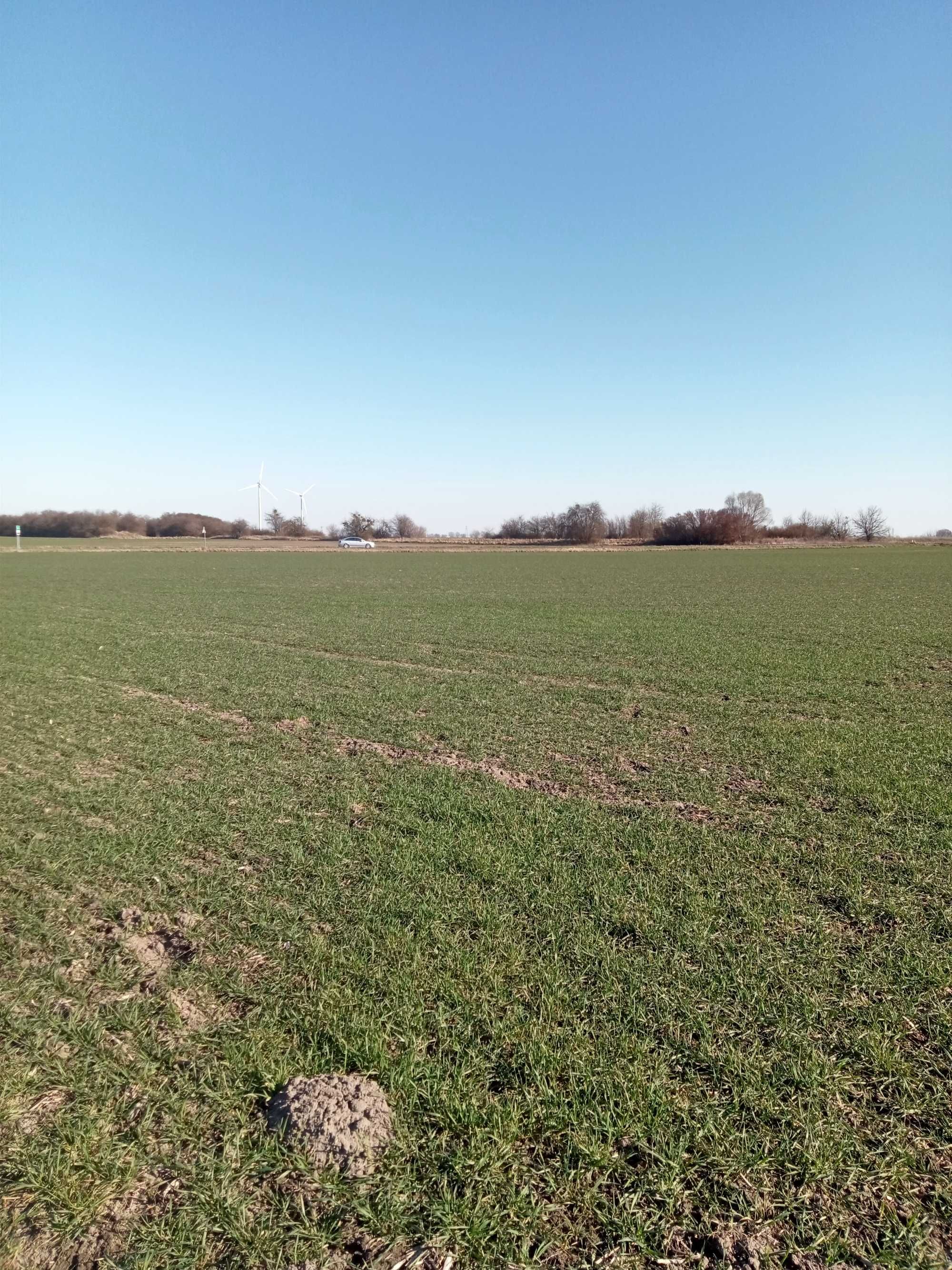 działkę budowlaną sprzedam w mieścisku