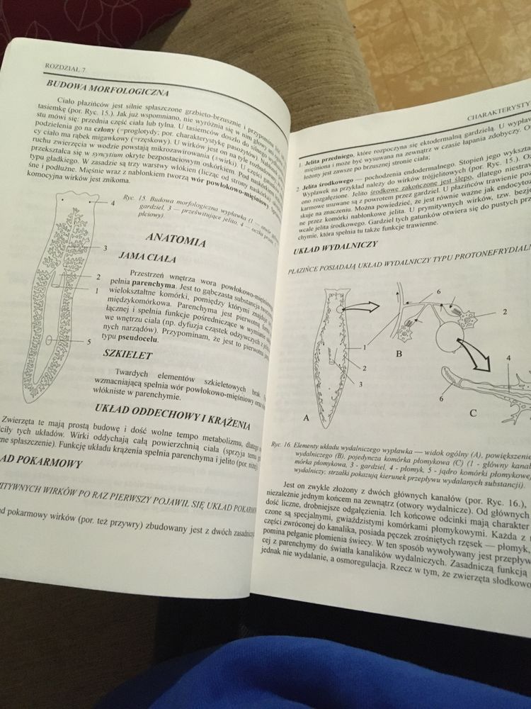 Biologia - zoologia W. Lewiński