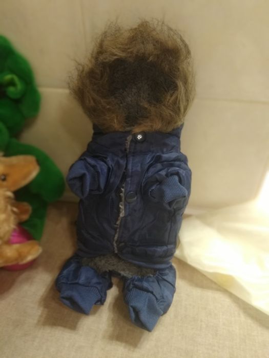 Alfa usa комбинезон зимний, с собачка