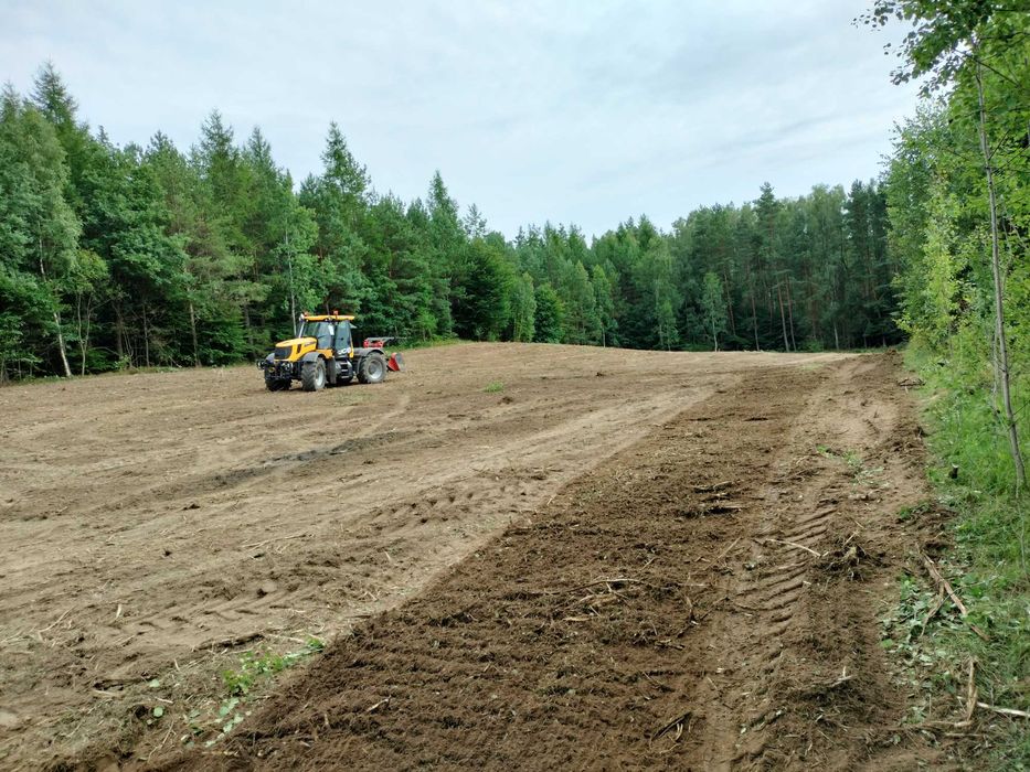 Mulczer leśny Oczyszczanie działek, wycinka samosiejek, karczowanie,