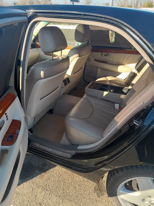 Продам "японського кабана"