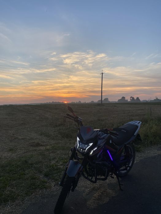 Musstang fortuna 200