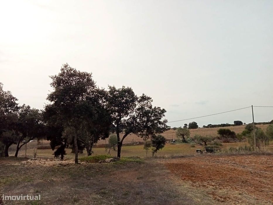Terreno, Achete, Azoia de Baixo e Póvoa de Santarém