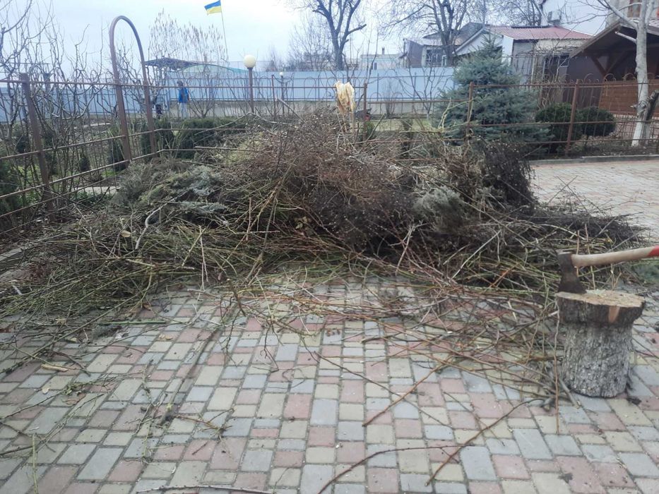 Вывоз веток уборка территории