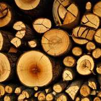 Купить дрова - большой выбор пород и доставка без предоплаты