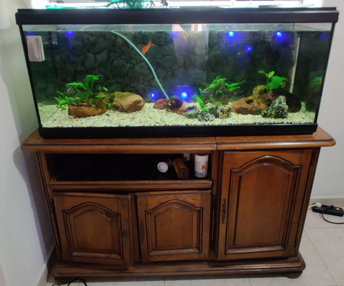 Aquário 240L + Equipamento