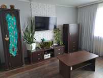 Meble do salonu kolor venge