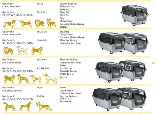 NOVAS - Caixas Transportadoras Gulliver IATA - Exclusivo Online