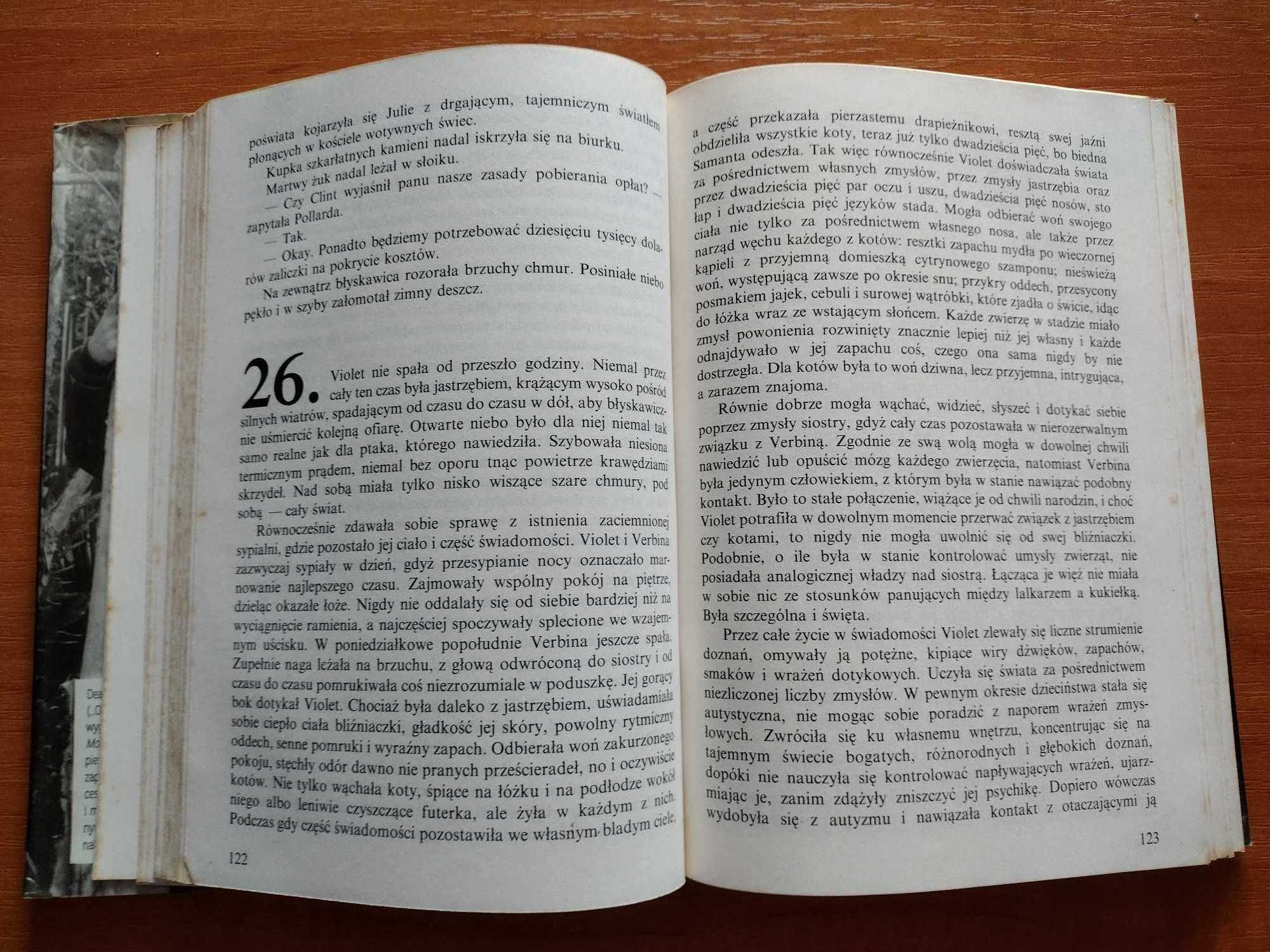 Dean R. Koontz - Złe miejsce