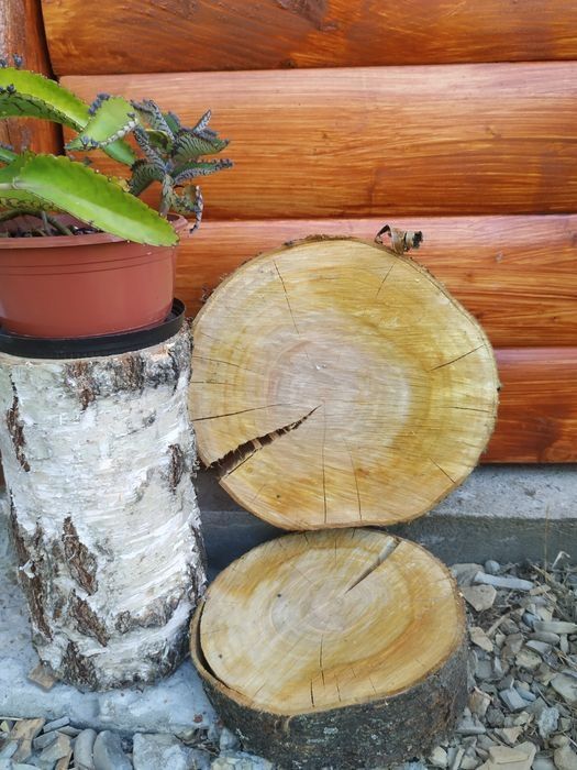 Plastry suche z czereśni, dębu