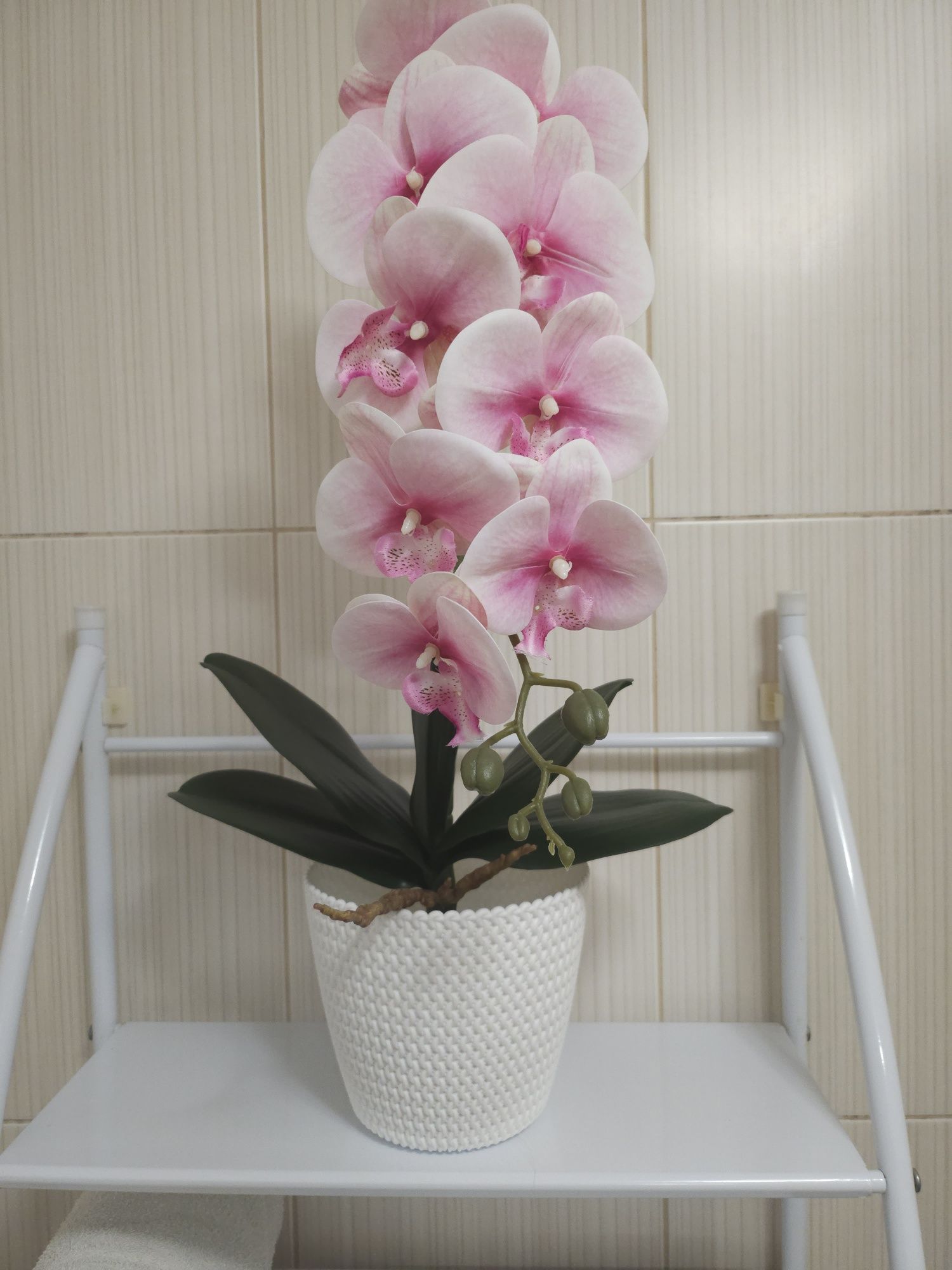 Орхідеї силіконові