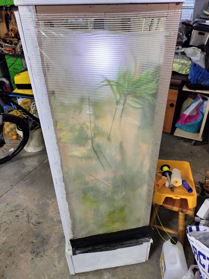 Terrarium kameleon