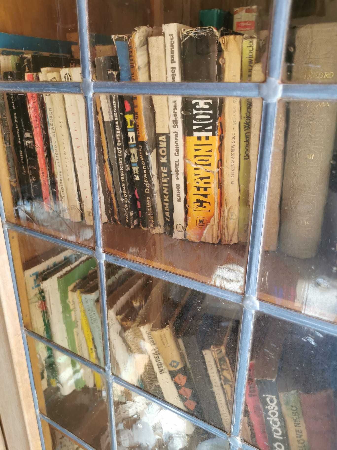Stylowa biblioteka z piękną witryną