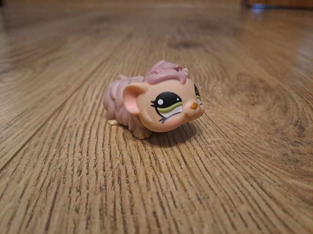 littlest pet shop guinea pig figurka swinka morska