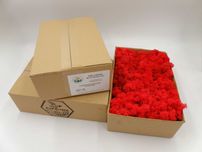 mech chrobotek reniferowy 0,5kg red